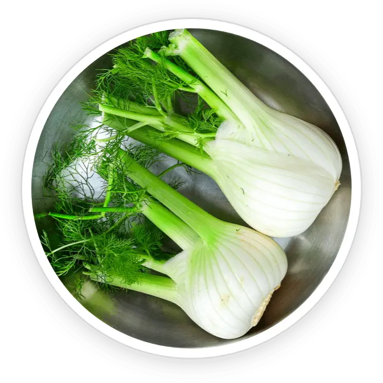 PrimeBiome ingredient Fennel digestive comfort herb